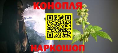 твердый Кингисепп