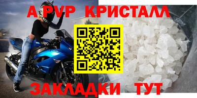 твердый Кингисепп