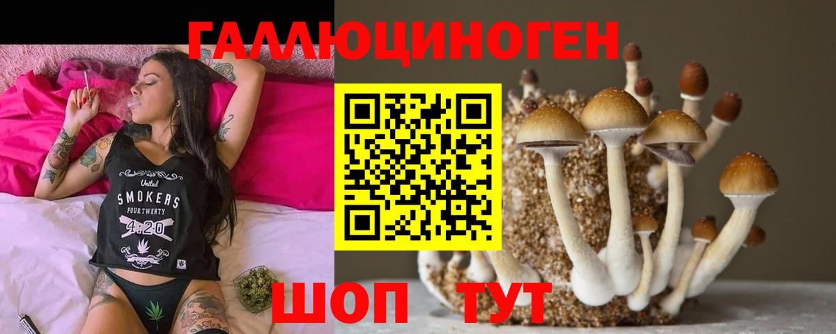 Зима  Псилоцибиновые грибы GOLDEN TEACHER  даркнет сайт  Вход с VPN 